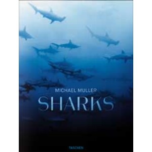 SHARKS. FACE-TO-FACE WITH THE OCEAN'S ENDANGERED PREDATOR