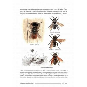 EL MONTE MEDITERRÁNEO. UNA GUÍA PARA NATURALISTAS 3