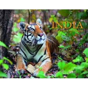 INDIA. LAND OF TIGERS AND TEMPLES