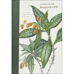 PLANTAS DE LOS BOSQUES DE CHILE