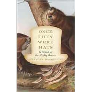 ONCE THEY WERE HATS. IN SEARCH OF THE MIGHTY BEAVER