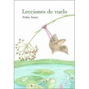 LECCIONES DE VUELO