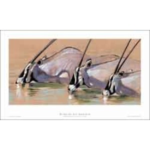 LÁMINA ORYX FRANCISCO J.HERNANDEZ