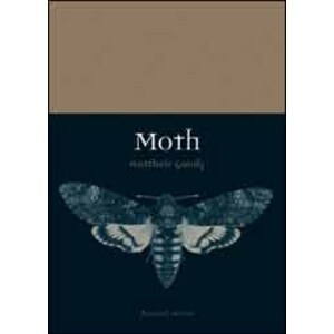 MOTH