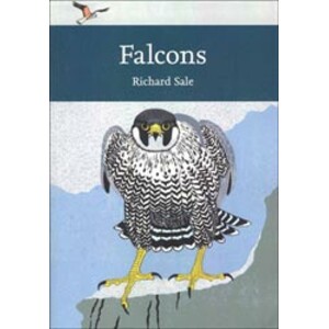 FALCONS