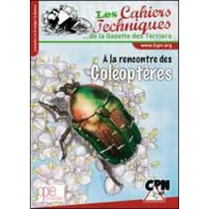 À LA RENCONTRE DES COLÉOPTÈRES