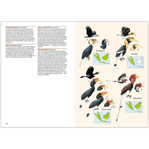 BIRDS OF THE INDONESIAN ARCHIPELAGO. GREATER SUNDAS AND WALLACEA 3