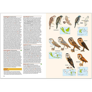 BIRDS OF THE INDONESIAN ARCHIPELAGO. GREATER SUNDAS AND WALLACEA 4