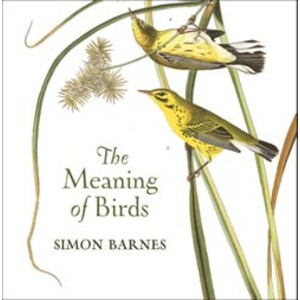 THE MEANING OF BIRDS