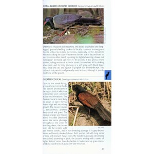 POCKET PHOTO GUIDE TO THE BIRDS OF VIETNAM, CAMBODIA AND LAOS_1