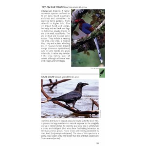 POCKET PHOTO GUIDE TO THE BIRDS OF SRI LANKA_1