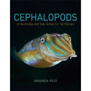 CEPHALOPODS OF AUSTRALIA AND SUB-ANTARCTIC TERRITORIES