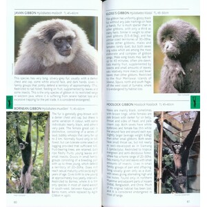 POCKET PHOTO GUIDE TO THE MAMMALS OF SOUTH-EAST ASIA 3