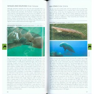 POCKET PHOTO GUIDE TO THE MAMMALS OF SOUTH-EAST ASIA 4
