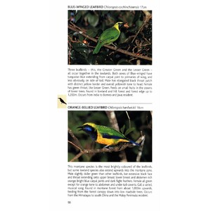 POCKET PHOTO GUIDE TO THE BIRDS OF PENINSULAR MALAYSIA AND SINGAPORE_1