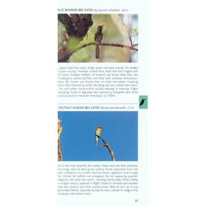POCKET PHOTO GUIDE TO THE BIRDS OF THE HIMALAYAS_1