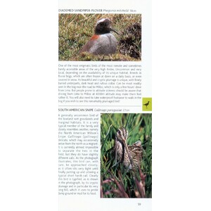 POCKET PHOTO GUIDE TO THE BIRDS OF PERU 3