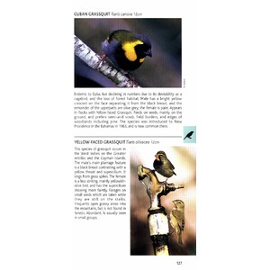 POCKET PHOTO GUIDE TO THE BIRDS OF THE WEST INDIES 4