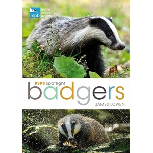 RSPB SPOTLIGHT: BADGERS
