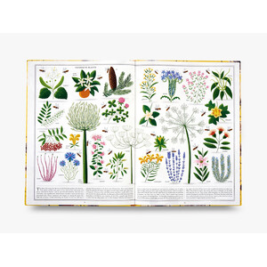 THE BOOK OF BEES 4
