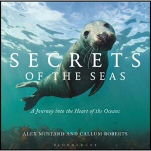 SECRETS OF THE SEAS: A JOURNEY INTO THE HEART OF THE OCEANS