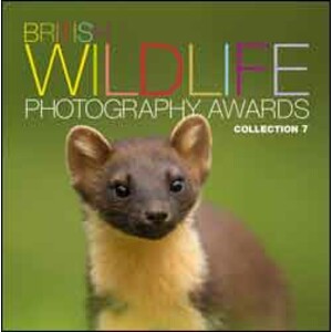 BRITISH WILDLIFE PHOTOGRAPHY AWARDS. COLLECTION 7