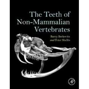 THE TEETH OF NON-MAMMALIAN VERTEBRATES