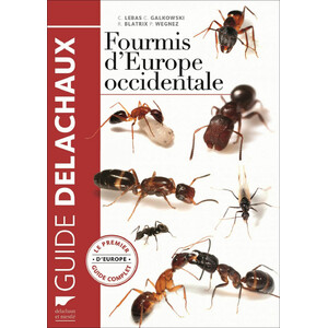 FOURMIS D'EUROPE OCCIDENTALE