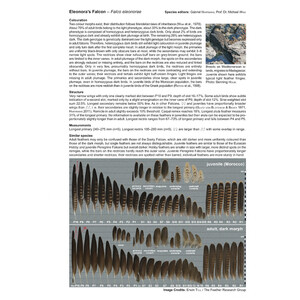 ATLAS OF FEATHERS FOR WESTERN PALEARCTIC BIRDS (PASSERINES) - CONCISE EDITION_1