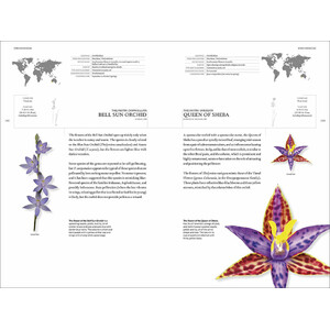 THE BOOK OF ORCHIDS: A LIFE-SIZE GUIDE TO SIX HUNDRED SPECIES FROM AROUND THE WORLD_1