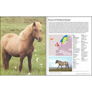 HORSES OF THE WORLD 2