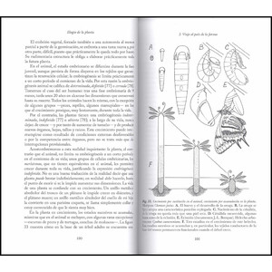 ELOGIO DE LA PLANTA. POR UNA NUEVA BIOLOGÍA_1