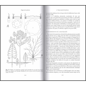 ELOGIO DE LA PLANTA. POR UNA NUEVA BIOLOGÍA 3