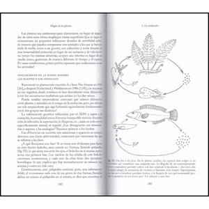 ELOGIO DE LA PLANTA. POR UNA NUEVA BIOLOGÍA 4