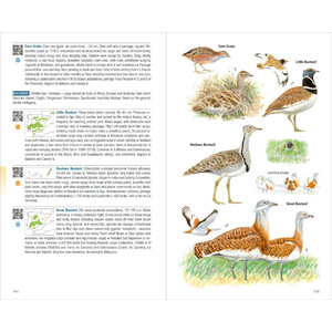 BIRDS OF SPAIN_1