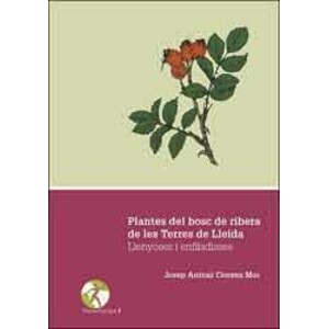 PLANTES DEL BOSC DE RIBERA DE LES TERRES DE LLEIDA. LLENYOSES I ENFILADISSES