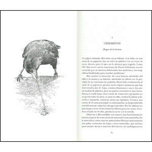 EL INGENIO DE LOS PÁJAROS_1