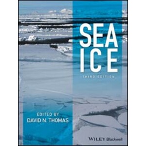 SEA ICE