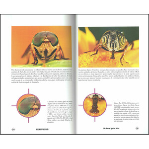 MACROFOTOGRAFÍA DE NATURALEZA 4