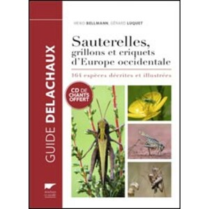 SAUTERELLES, GRILLONS ET CRIQUETS D'EUROPE OCCIDENTALE