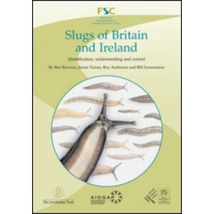 SLUGS OF BRITAIN AND IRELAND