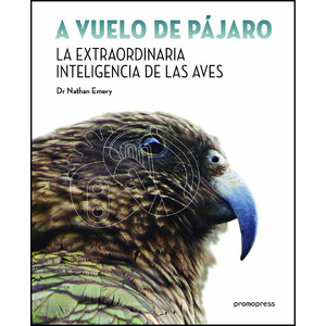 A VUELO DE PÁJARO. LA EXTRAORDINARIA INTELIGENCIA DE LAS AVES