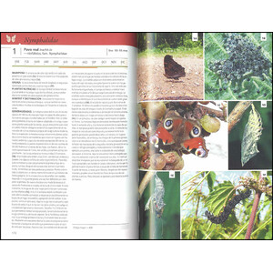 GUÍA DE LAS MARIPOSAS DE EUROPA. MARIPOSAS, ORUGAS Y PLANTAS NUTRICIAS 3