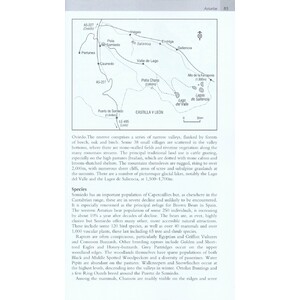 WHERE TO WATCH BIRDS IN NORTHERN &AMP; EASTERN SPAIN 3