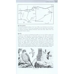 WHERE TO WATCH BIRDS IN NORTHERN &AMP; EASTERN SPAIN 4