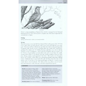 WHERE TO WATCH BIRDS IN NORTHERN &AMP; EASTERN SPAIN 5