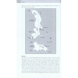 WHERE TO WATCH BIRDS IN NORTHERN &AMP; EASTERN SPAIN 6