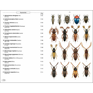 PHYTOPHAGOUS BEETLES OF EUROPE. VOLUME 1- BUPRESTIDAE, ELATERIDAE, CLERIDAE, CERAMBYCIDAE_1
