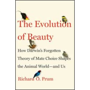 THE EVOLUTION OF BEAUTY