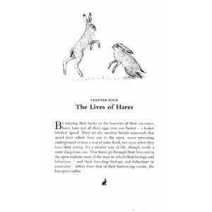 THE WAY OF THE HARE 3